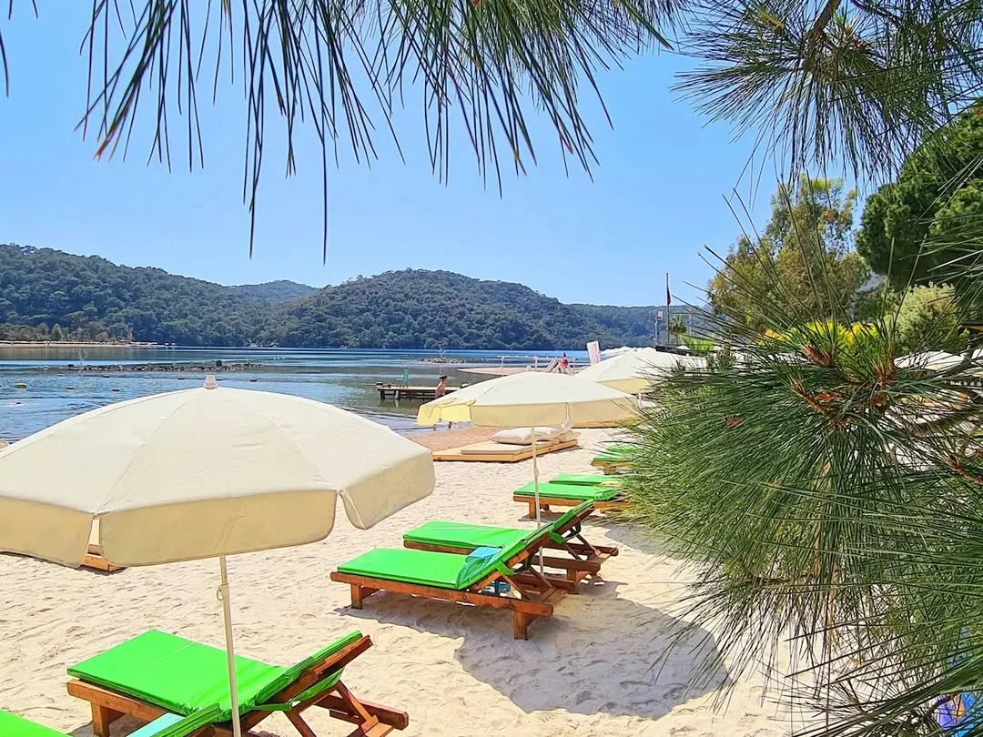 Green Pine Beach Hotel - Plaj ve Lagün