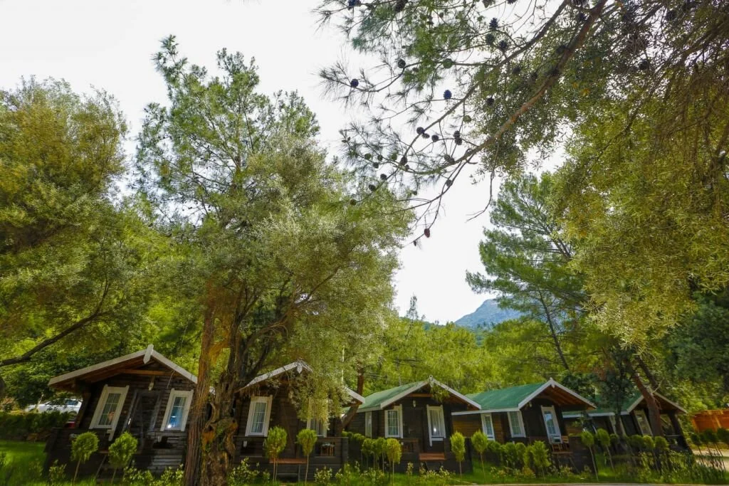 Green Pine Beach Hotel - Oda İç Mekan