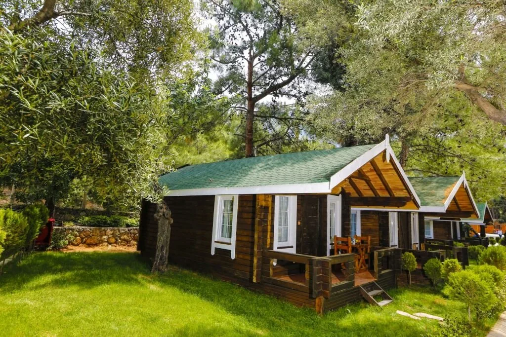 Green Pine Beach Hotel - Natural Large