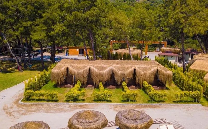 Green Pine Beach Hotel - Tree House
