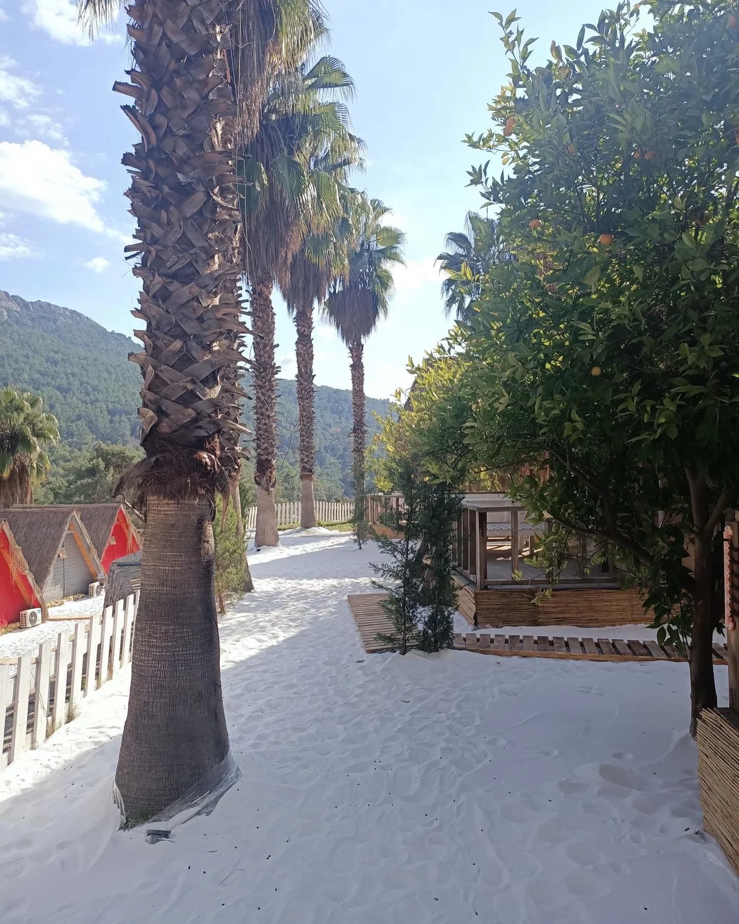 The Hill Glamping - Bahçe Yolu