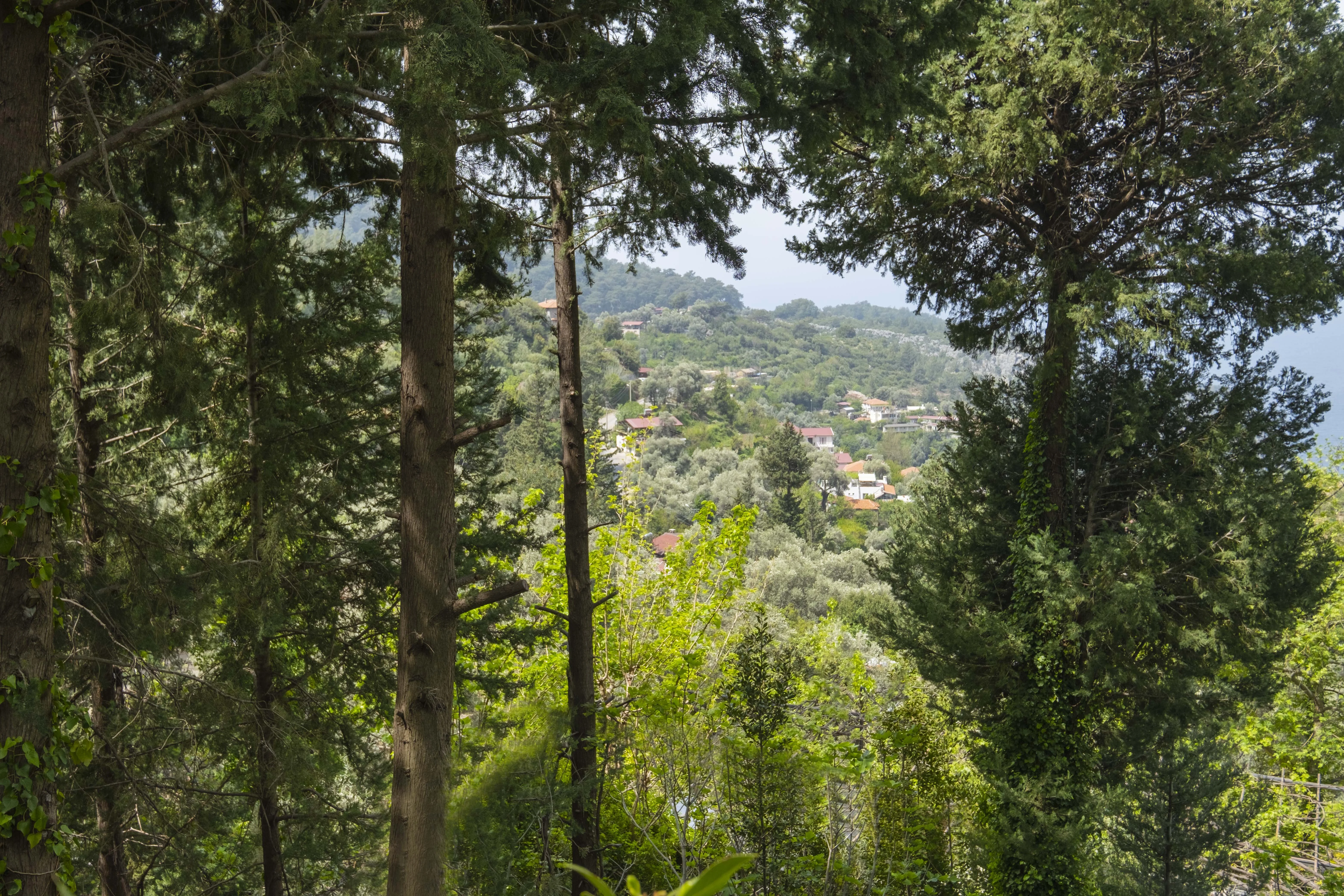 Watermill Hotel Faralya